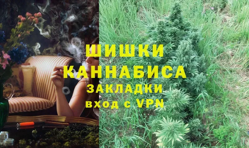 Каннабис White Widow  Гусев 